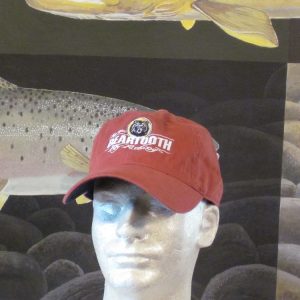 Logo 6 Panel Washed Twill Cap